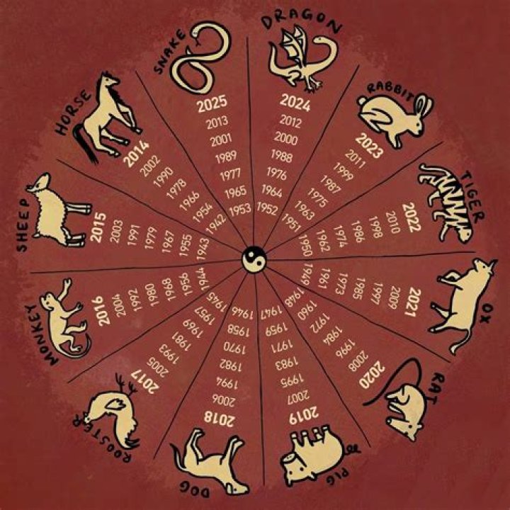 1974 Year of the Chinese Zodiac: Discover Your Zodiac Animal and Its Influence