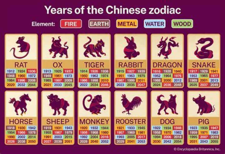 1989 Chinese Zodiac Element: Discover Your Inner Dragon and Metal Power