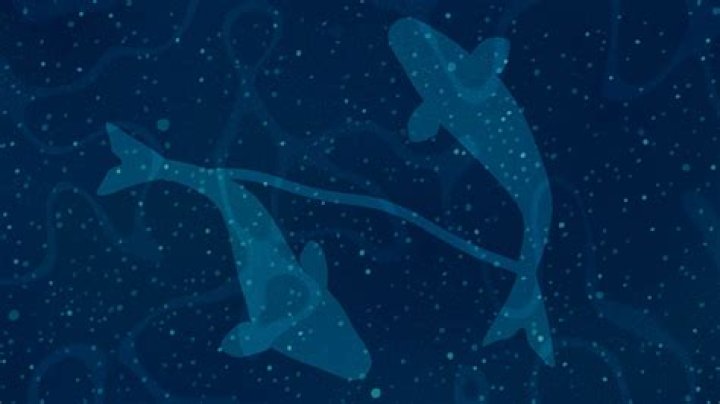9 March Zodiac: Discover the Celestial Mysteries Behind Pisces!
