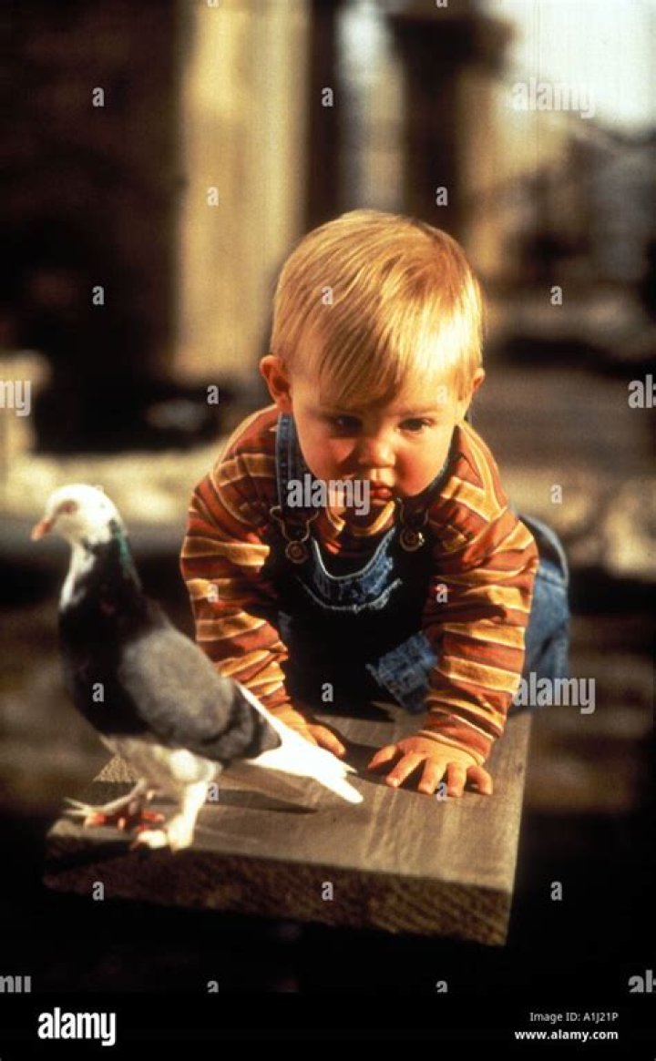 Adam Robert Worton: Looking Back at the Adorable Baby Bink Actor