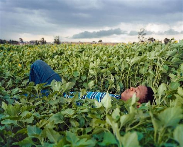 After Star Session: The Ultimate Guide to Celeb-Infused Entertainment