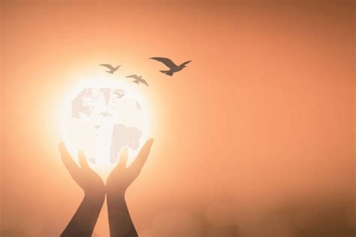 Agmaal Give: Discover the True Spirit of Generosity Today