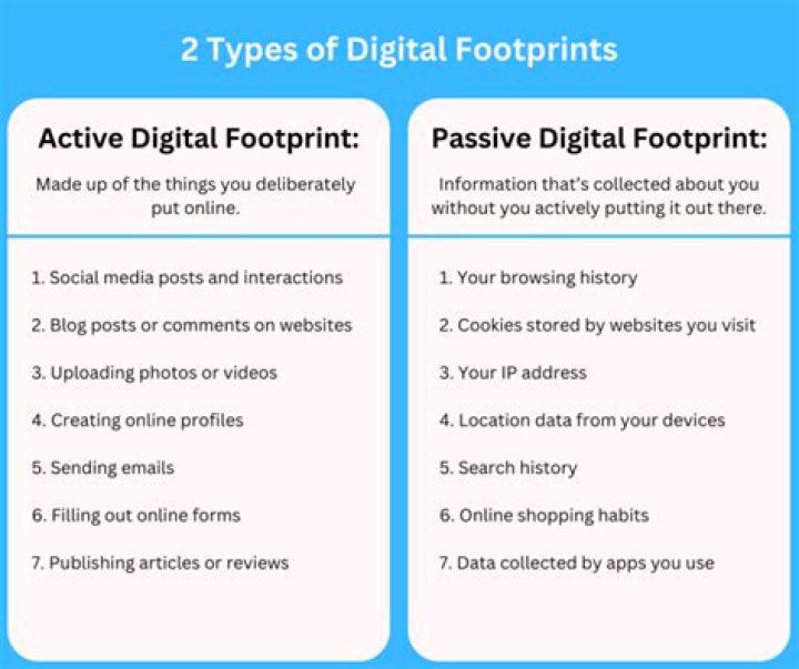 Alina Rose's Digital Footprint: What Searches for 'Nudes' Really Tell Us