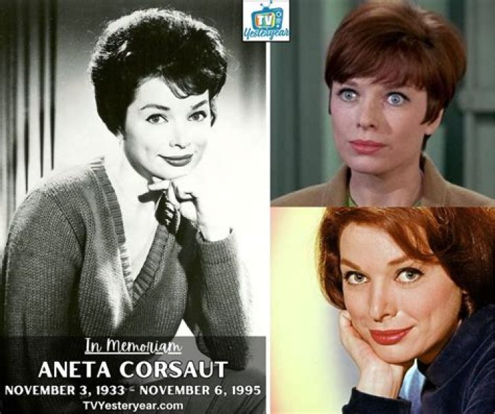 Aneta Corsaut Cause of Death: The Enduring Interest in a Notable Name