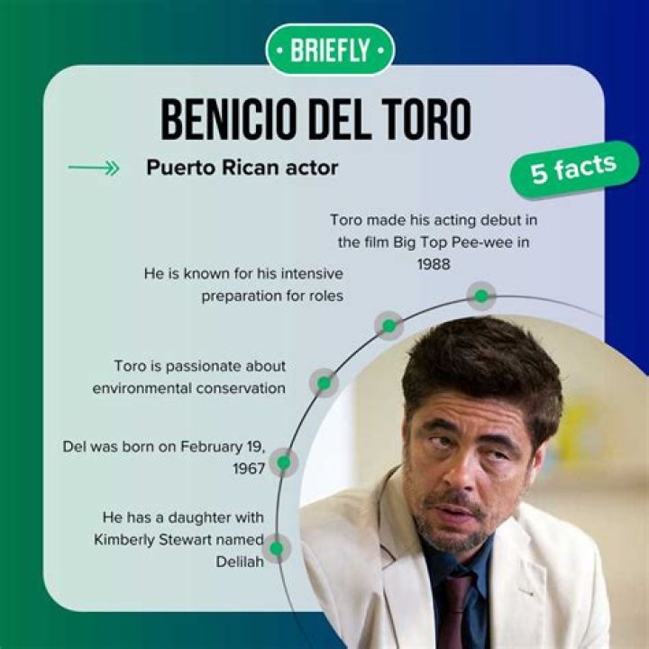 Benicio Del Toro Wife: Unpacking His Relationship Journey and Family Life