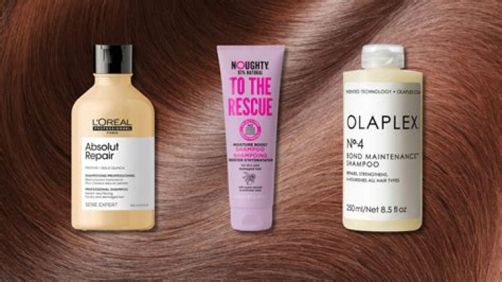 Best Shampoo for Damaged Hair: Transform Your Strands with These Expert Picks