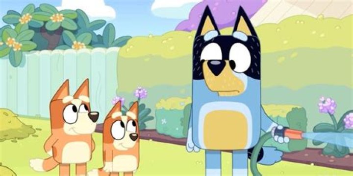 Bluey Episode: An Unforgettable Journey for Kids