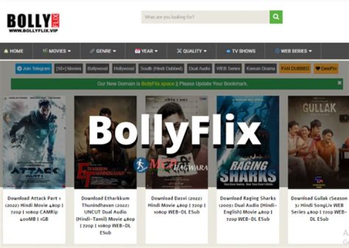 Bollyflix.com