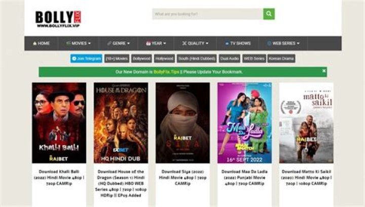 Bollyflix Official Web: Your Ultimate Destination for Bollywood Entertainment