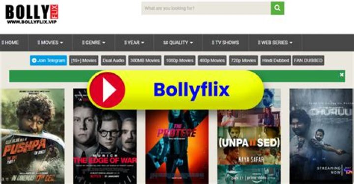 Bollyflix.too: Your Guide to Finding Answers and Connecting with Tech Insights Today