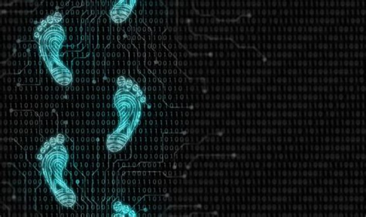 Camila Araujo's Digital Footprint: Exploring Her Content and Online Presence Today