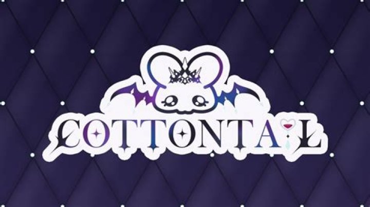 Cottontailva Leaked: Unpacking the Buzz Around This Popular VTuber's Public Persona