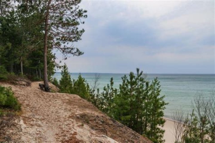 Dakota Beavers Age: What We Know About the Rising Star