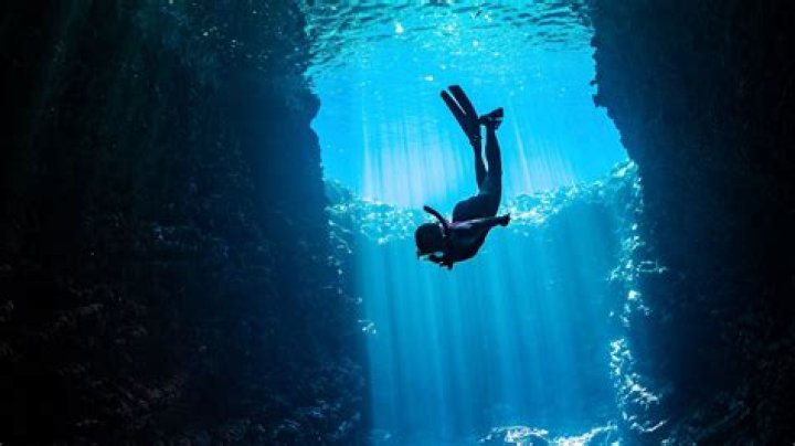 Dancing Bear Xvideos: A Deep Dive Into the Controversial Phenomenon