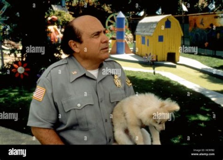 Danny DeVito's Son Drowned: Uncovering the Truth Behind the Tragic Incident