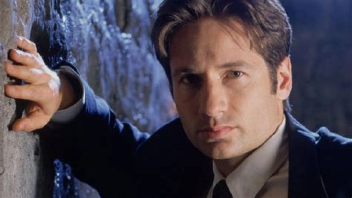 David Duchovny and TV Shows: A Comprehensive Exploration