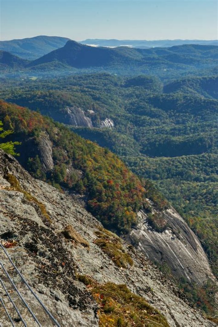 Desire Download Your Ultimate Guide to Safe and Legal Downloads