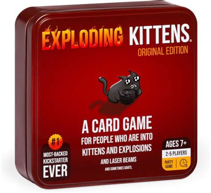 Discover the Charm of Erin Kittens: A Foster Story