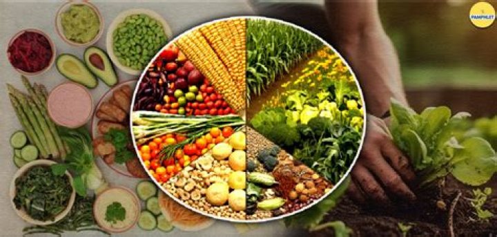 Discover the Ultimate Guide to Vegamovles: The Future of Plant-Based Nutrition