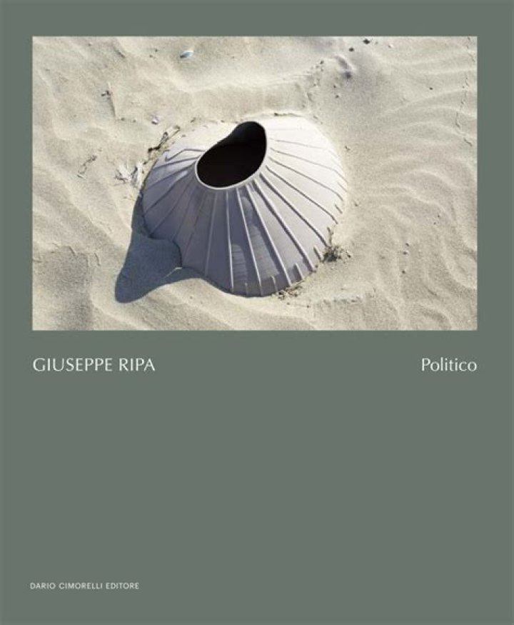 Discovering Sergio Giuseppe Ripa: Unraveling the Public Persona