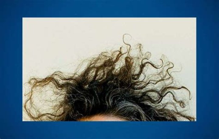 Elan Gale Net Worth: What We Know About the Producer's Financial Standing