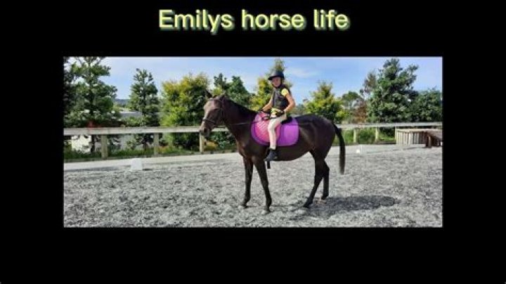 Emily's Diary Horse Episode 16: A Captivating Journey Through Friendship and Adventure