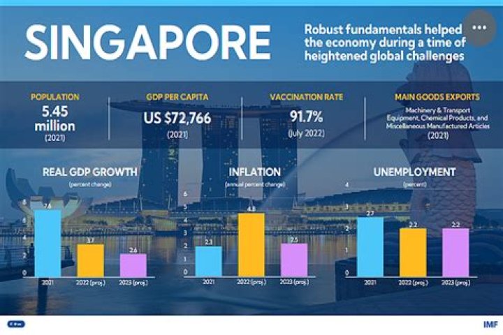 Enrome: Your Guide to Smart Business Growth in Singapore