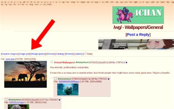 Exploring 4chan Archives: A Look at Preserving Digital Culture