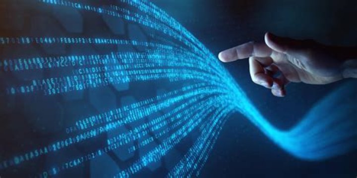 Exploring Digital Search Patterns: What 'xnxxxn' Reveals About Online Queries