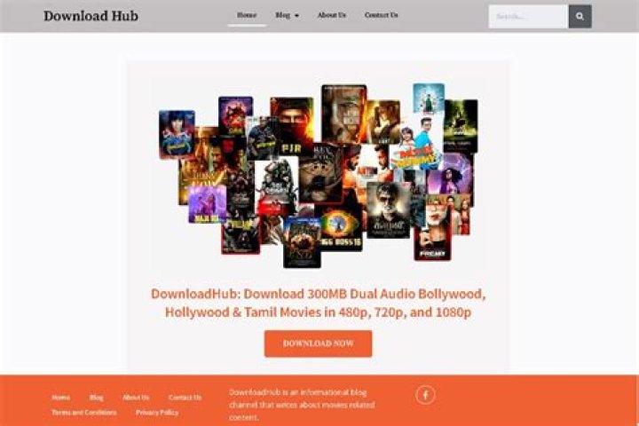 Exploring downloadhub.com: Your Go-To Information Hub and Its Current Availability
