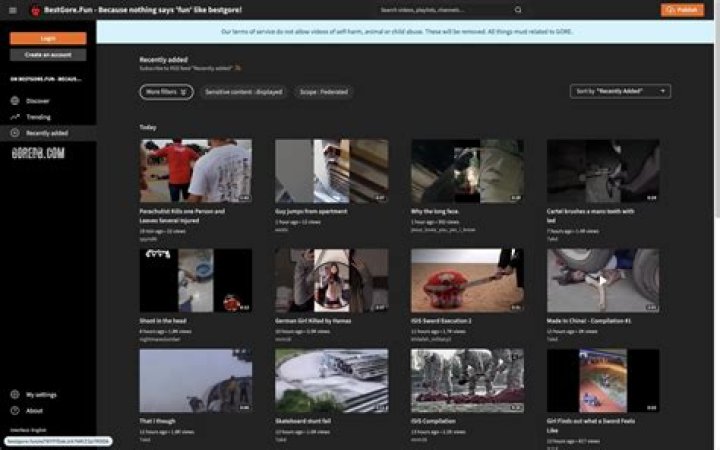 Exploring Gore Websites Alternatives: What You Need to Know