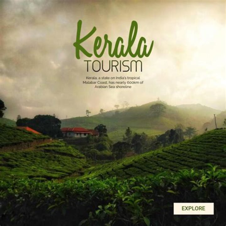 Exploring mallu videos.org: Your Guide to Kerala's Digital Scene