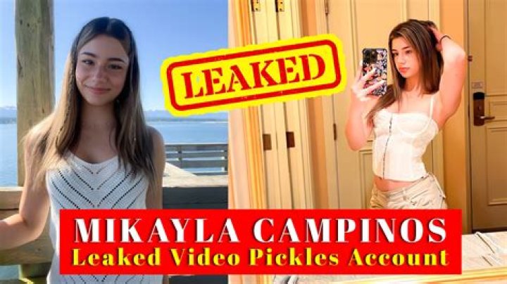 Exploring the Buzz Around "Mikayla Campinos Mega Folder": What You Should Know About Online Safety