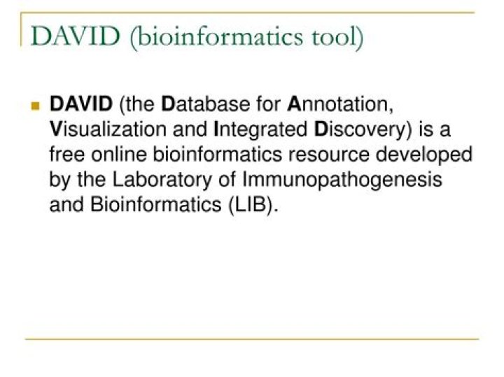 Exploring the DAVID Bioinformatics Tool: Unpacking Gene Insights (Addressing david goggins xnx in Scientific Queries)