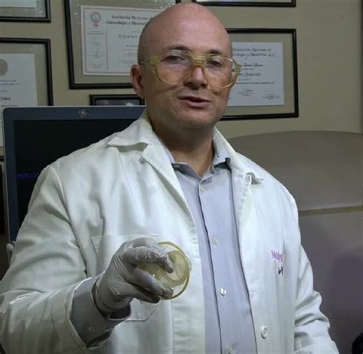 Exploring the Diverse Expertise of drgustavoquiroslicona: From Culinary Arts to Digital Fortification