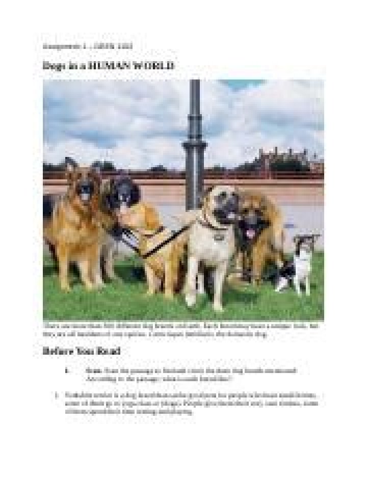 Exploring the Fascinating World of Dogxnx: A Comprehensive Guide