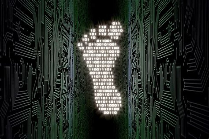 Exploring the Online Buzz Around Camilla Araujo's Digital Footprint