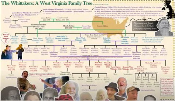 Exploring the Whitaker Family Tree: Stories of Lineage and Legacy