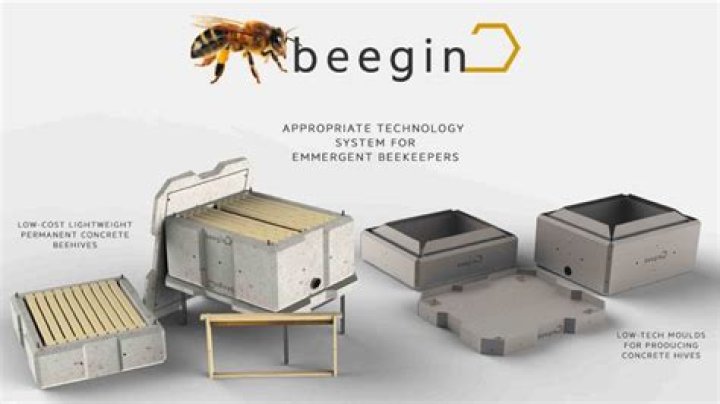 Exploring the World of Beegin: Your Ultimate Guide
