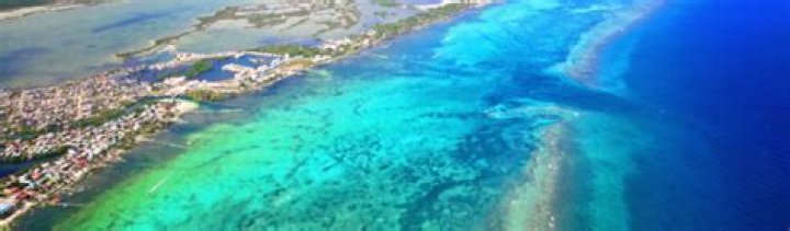 Exploring the World of COM 2025: A Comprehensive Guide