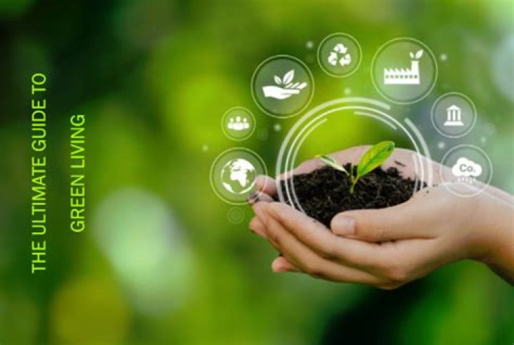 Exploring Vegamoves: A Comprehensive Guide to Sustainable Living