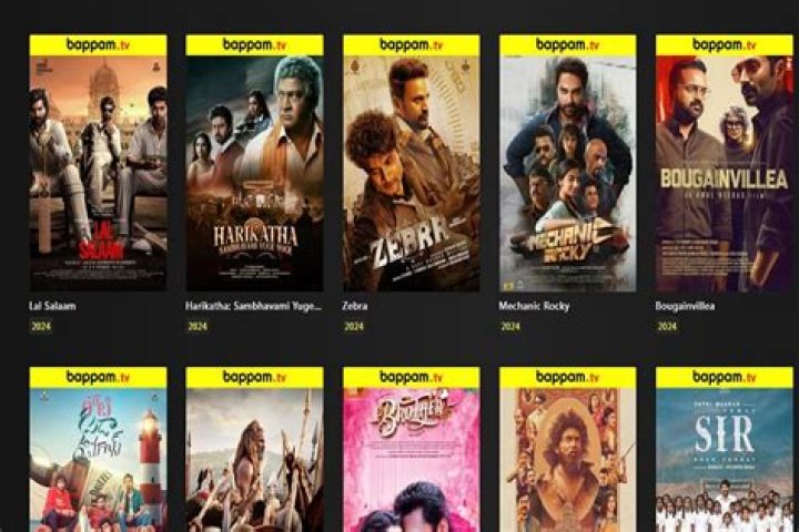 FilmyFly 2024: Your Ultimate Guide to Streaming Movies Legally and Safely