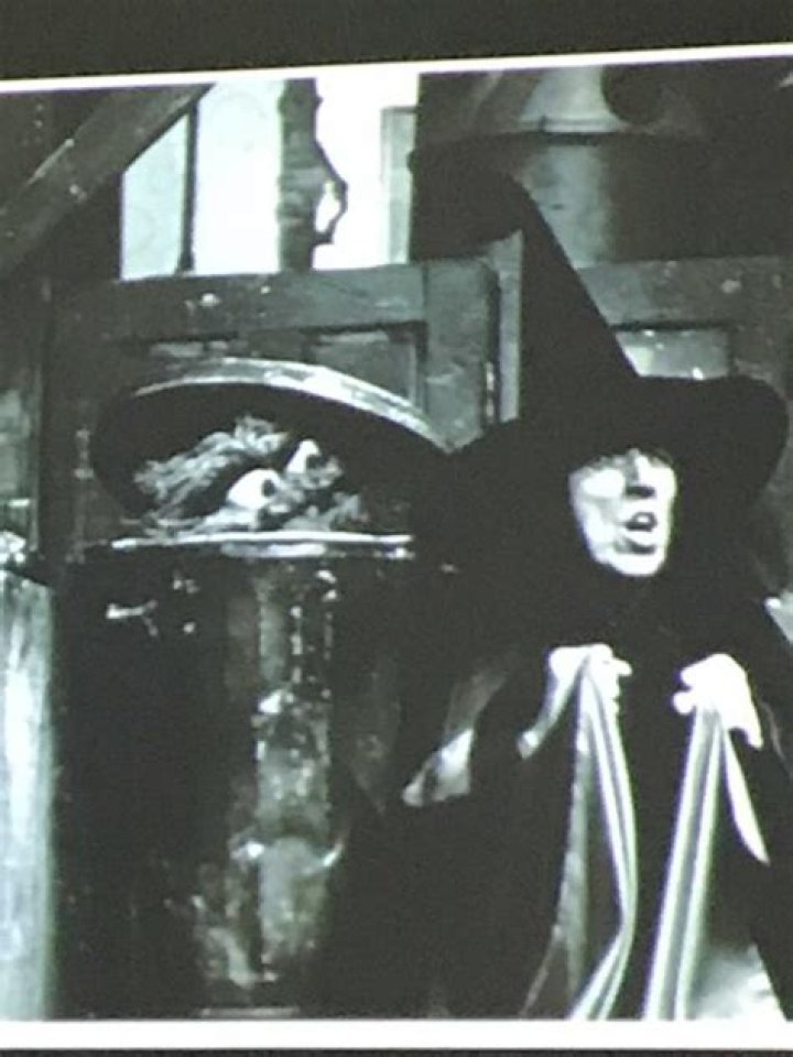 Hamilton Meserve: Insights from the Son of the Iconic Wicked Witch