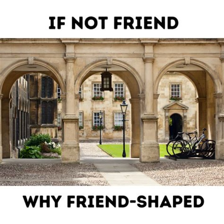 If Not Friend, Why Friend-Shaped Origin? Unveiling the Mystery