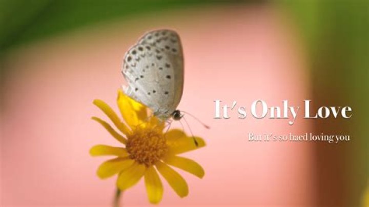 Inspire You It's Only Love: The Ultimate Journey to Understanding True Affection