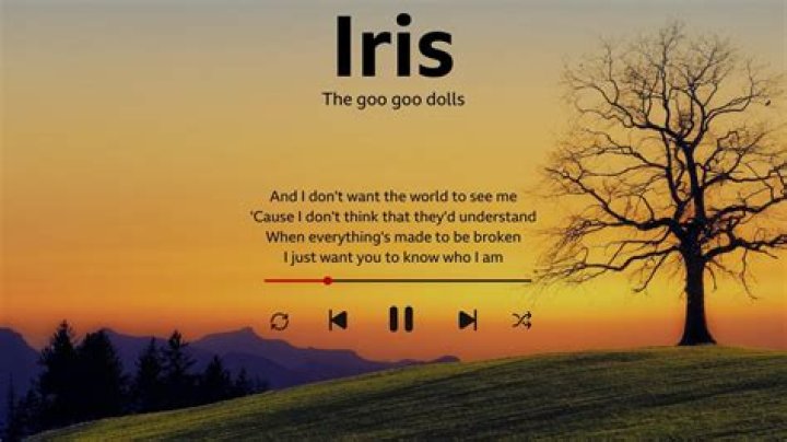 Iris Lyrics: The Ultimate Dive Into a Song That Touched a Generation