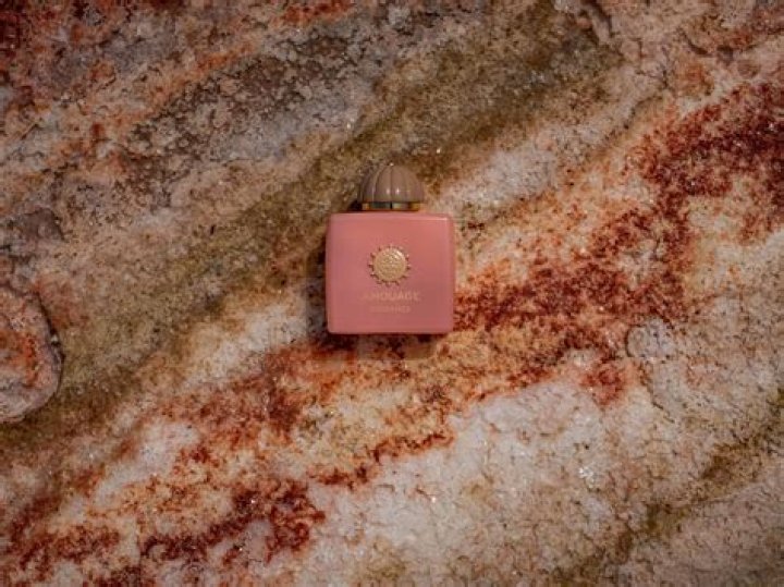 Ivory Hulls Japan: A Deep Dive Into Its Fascinating World