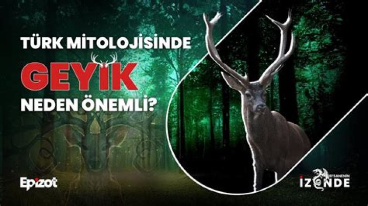 Judy Blooms Kaç Yaşında: Bir Efsanenin İzinde