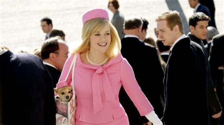 Legally Blonde 3: The Sequel That's Got Everyone Talking
