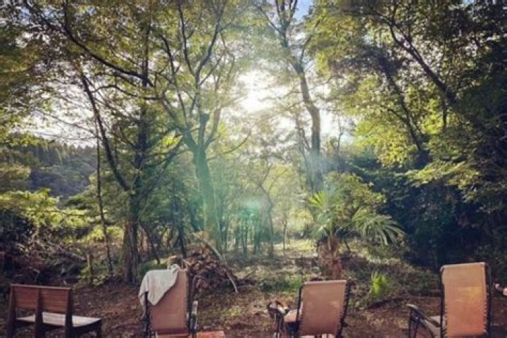 Maasafun: Discover the Unique Comfort of an Earth Sauna Today